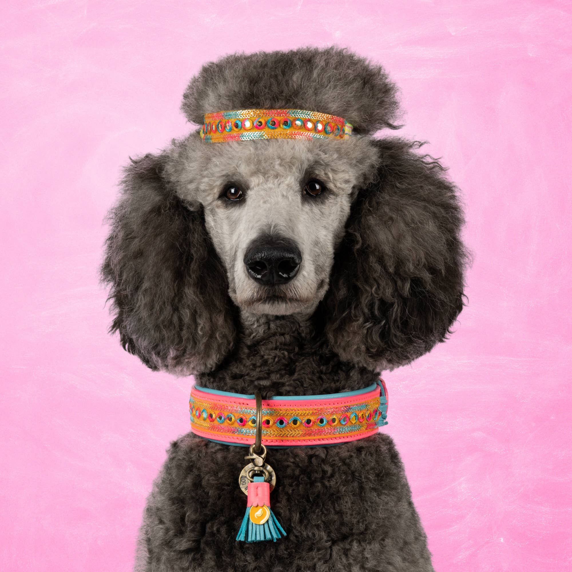Dog with a Mission - Wholesale Pet Collar - Dog - Indian Summer Necklace