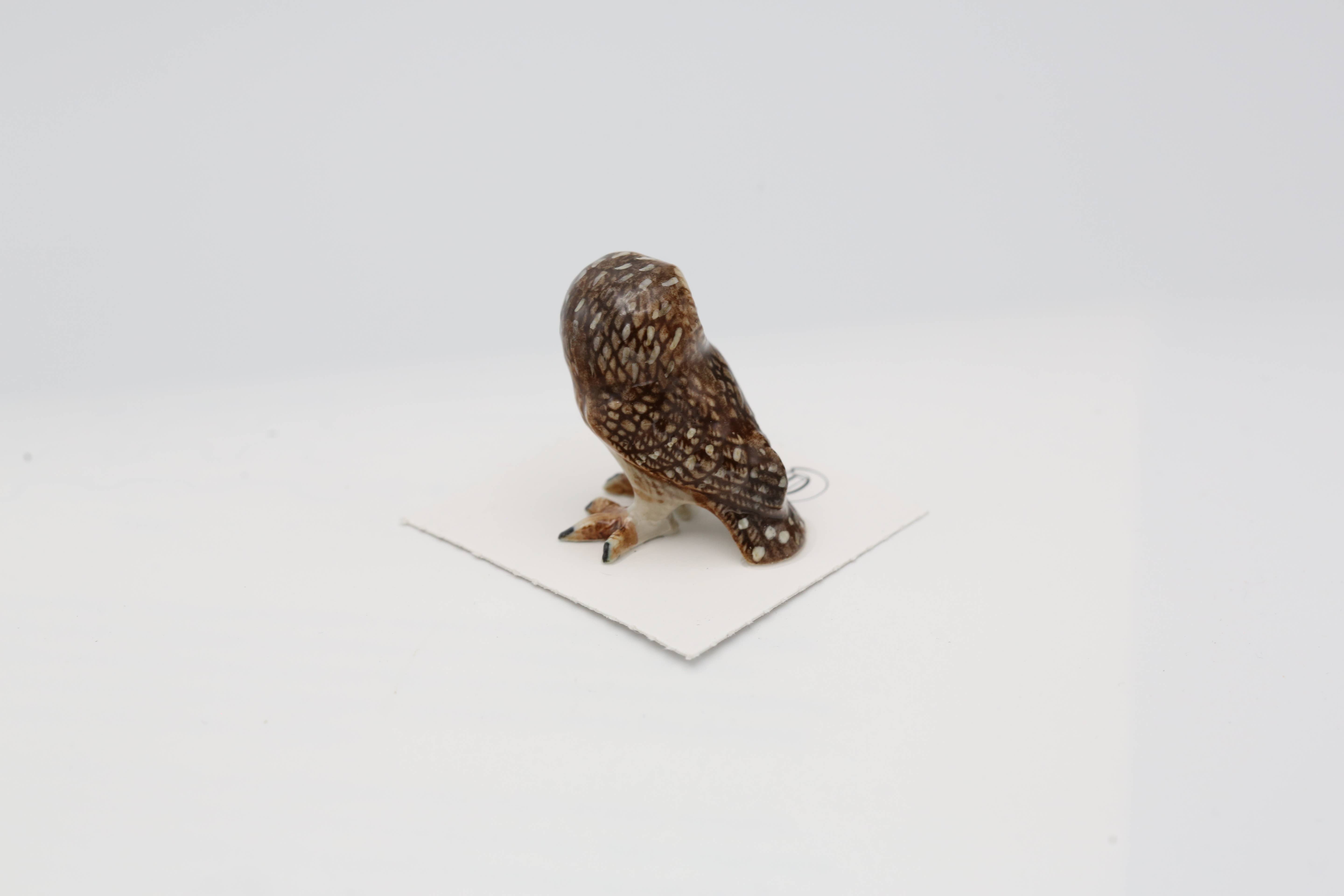 Little Critterz – Estatueta decorativa por atacado – Miniatura de porcelana Sawyer Saw-whet Owl1