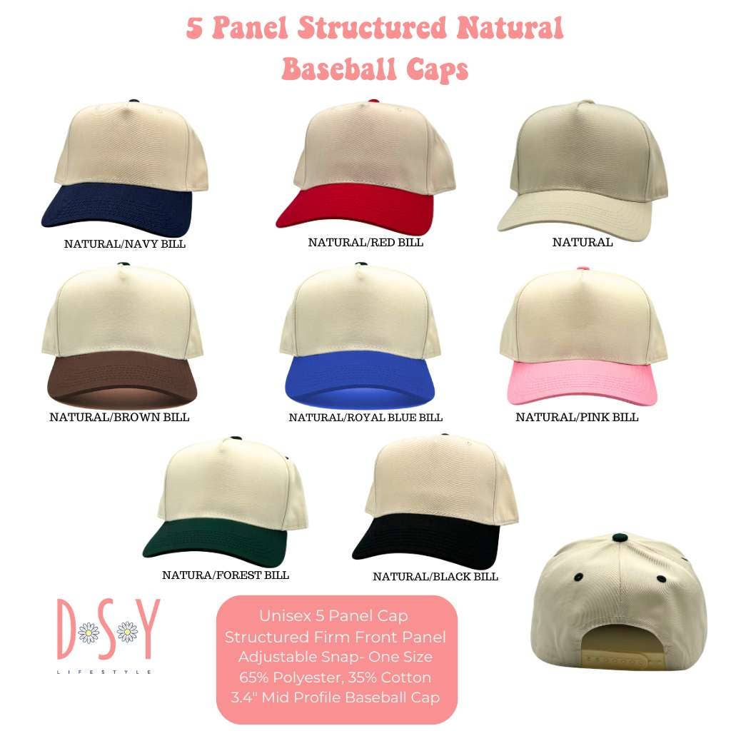 DSY Lifestyle - Wholesale Baseball Cap - Unisex - Aspiring Retiree 5 Panel Baseball Hat5