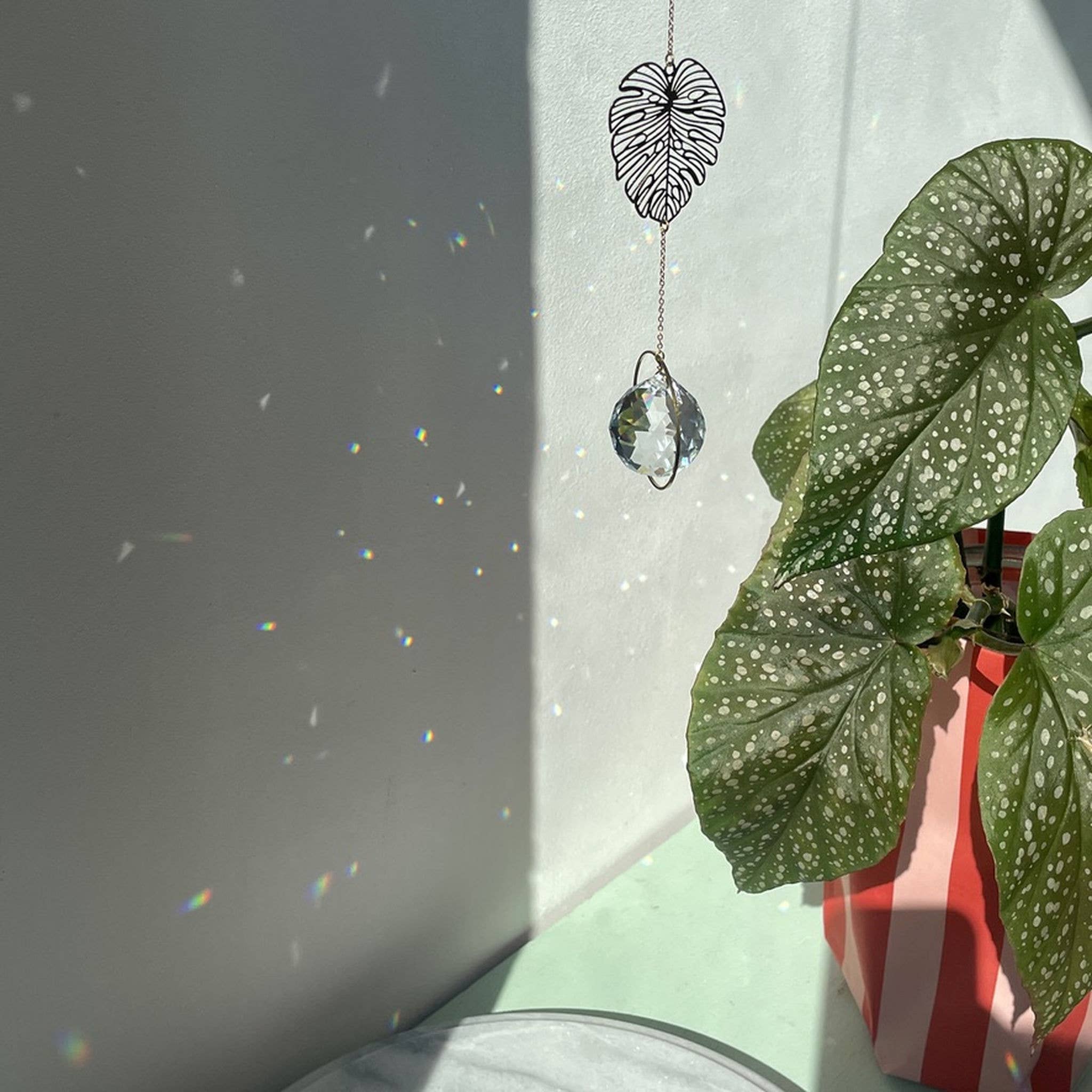 von Lani = Jewellry + Suncatchers - Wholesale Suncatcher - Suncatcher Monstera/ Light Catcher / Sun Catcher / Prism3
