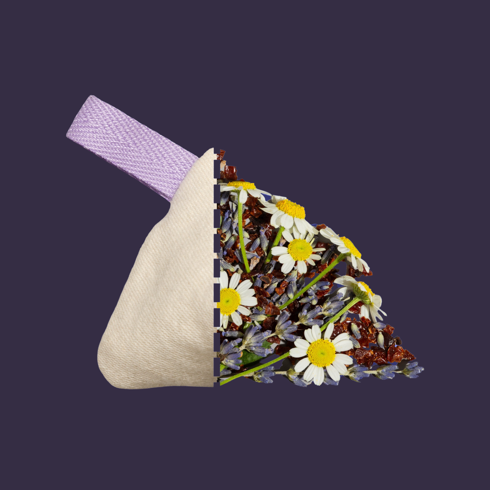 Longsock - Wholesale Pet Toy - Dog - Longsock Scent Refill0