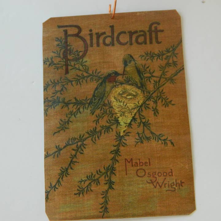 Couverture de livre antique Ornament Bird Birdcraft pour la vente par Sarah Wood Studio
