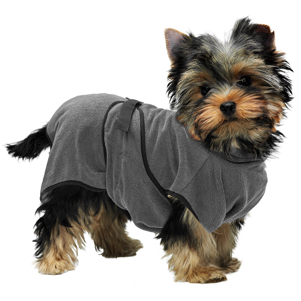 Hofman Animal Care - Vente Serviette – chien - Peignoir absorbant pour chiens XS Royal Dry1
