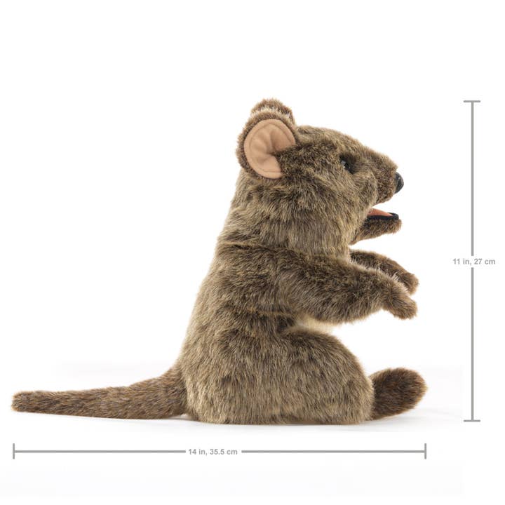 FOLKMANIS-PUPPETS - Vendita all'ingrosso Burattino - Bambini e neonati - Marionetta Quokka marsupiale dal muso curioso1