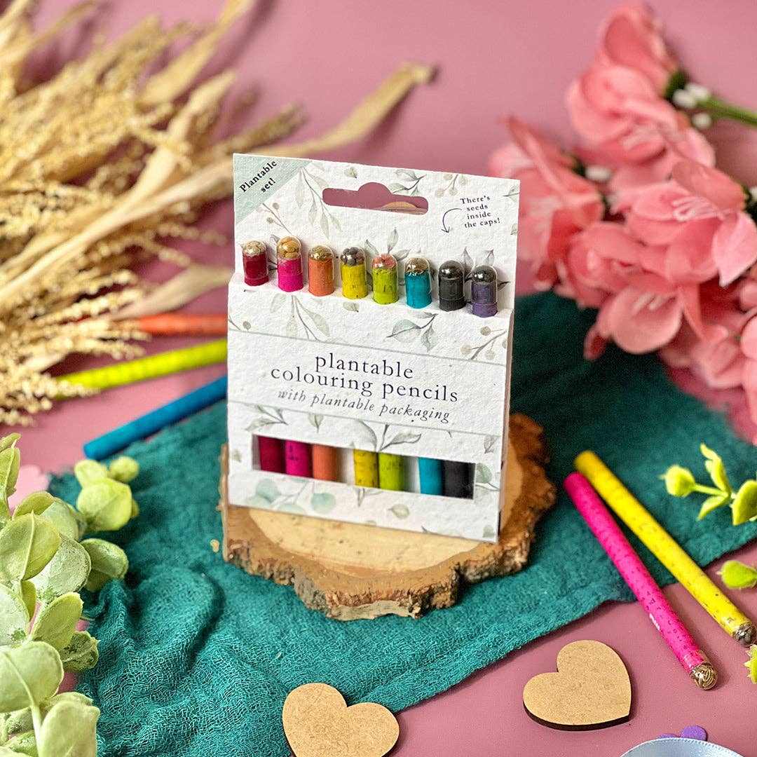 Little Green Gifts – wholesale Coloured pencil – Colouring Pencils - Choice Of Designs (TU-6)3