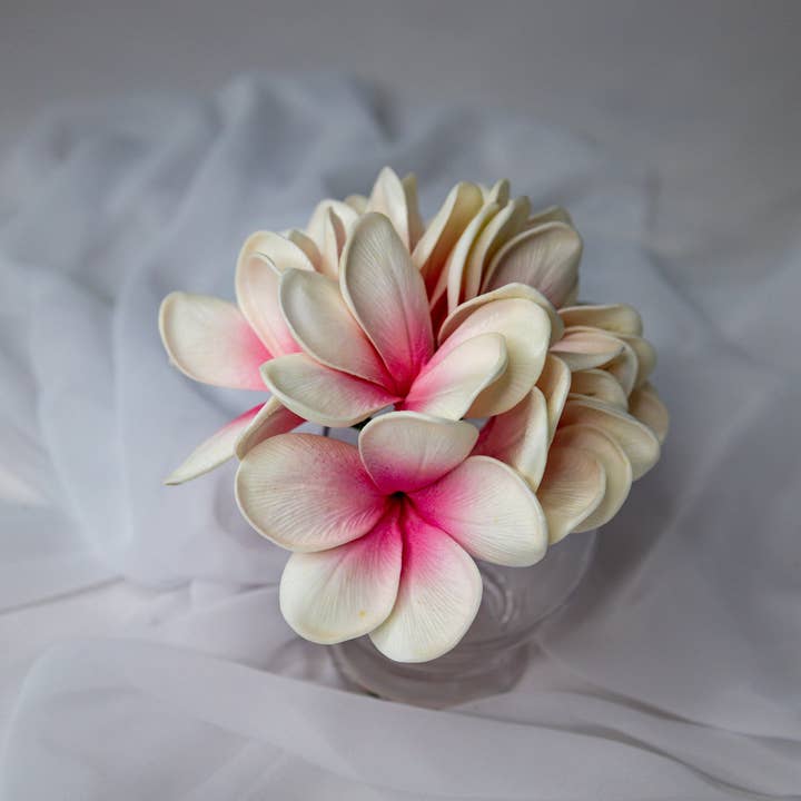Realistic Artificial Flowers - Wholesale Artificial flowers - White Pink Frangipani Flowerhead (6 Pack)4
