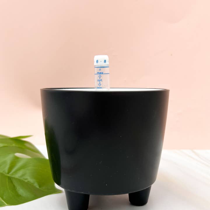 Propagation Diaries - Wholesale Plant Pot - 3” Self Watering Moo Pot2