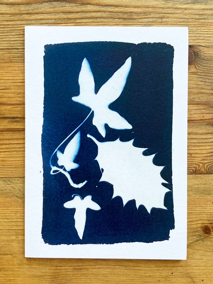 'Holly & Ivy' Botanical Blue Greetings Card for wholesale by Made By McDuff