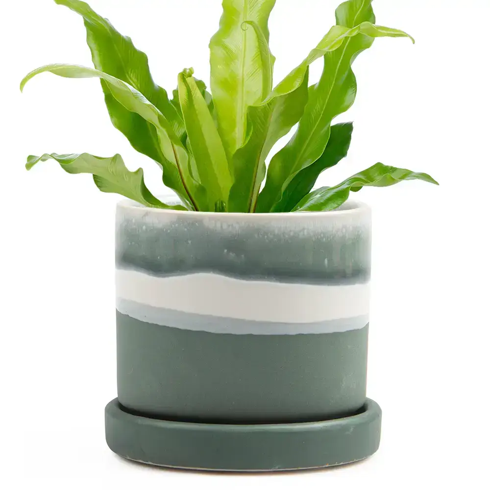 Chive UK - Wholesale Plant Pot - Minute  Handmade Ceramic Planter Indoors Pot With Saucer33