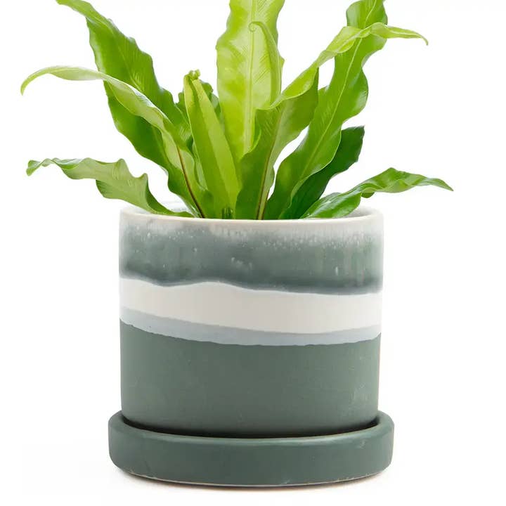 Chive UK - Wholesale Plant Pot - Minute Handmade Ceramic Planter Indoors Pot With Saucer33