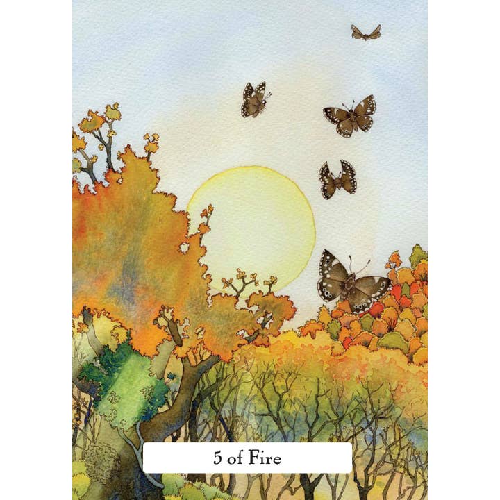 Cardshouse - Wholesale Tarot Cards - The Witches Wisdom Tarot Cards Hay House (Standard Edition)2