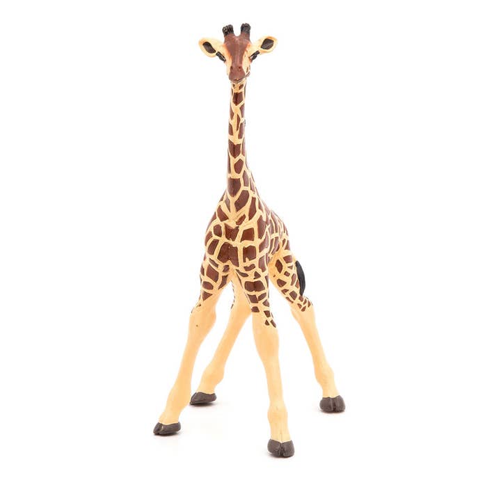 Meroncourt Europe Ltd – wholesale Figurine toy – Kids – PAPO Wild Animal Kingdom Giraffe Calf Toy Figure, Three Years or Above, Multi-colour (50100)4