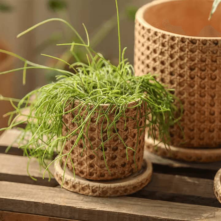 Rustic Reach - Wholesale Plant Pot - Faux Woven Grid Cement Pot