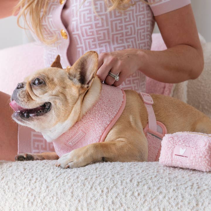 Frenchie - Vendita all'ingrosso Dispenser di sacchetti per la cacca - Portaborse Frenchie Poo - Teddy Pink2