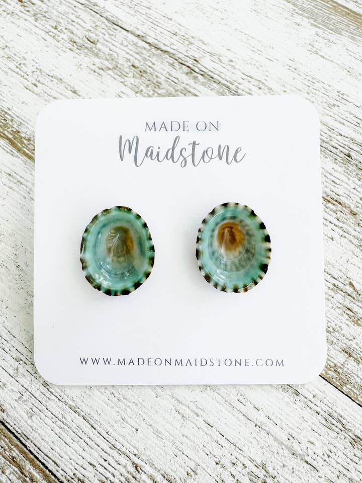 Limpet Shell Stud Earrings for wholesale by Made on Maidstone