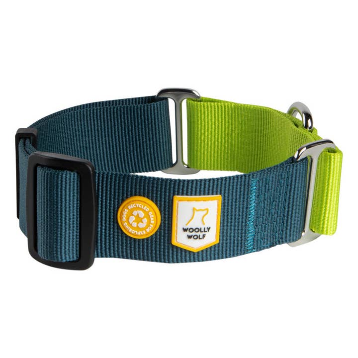 Woolly Wolf Color Block martingale hondenhalsband in diep teal en lime, gerecycled (RPET) voor wholesale door Woolly Wolf