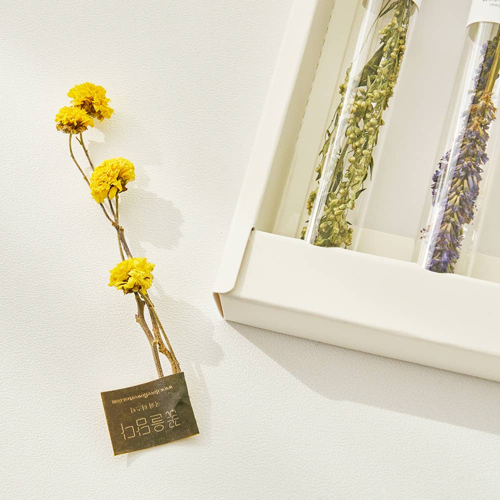 KKOKDAM Premium Flower Tea - Vendita all'ingrosso Tè sfusi - Set regalo di bastoncini di tè ai fiori combinati (1 set = 5 bastoncini)8