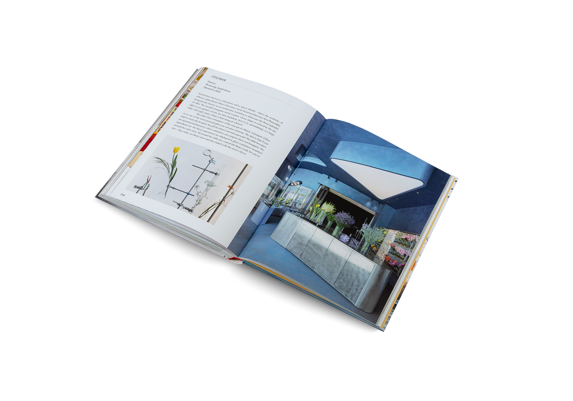 gestalten - Wholesale Home & Garden - Think Big - Shop Small - Unique Stores and Contemporary10