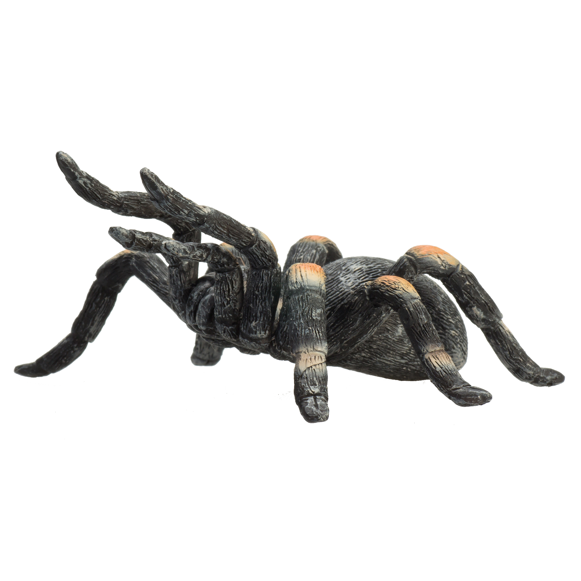 Mojo - Wholesale Figurine Toy - Kids - Mojo Red Kneed Tarantula Animal Figurine0