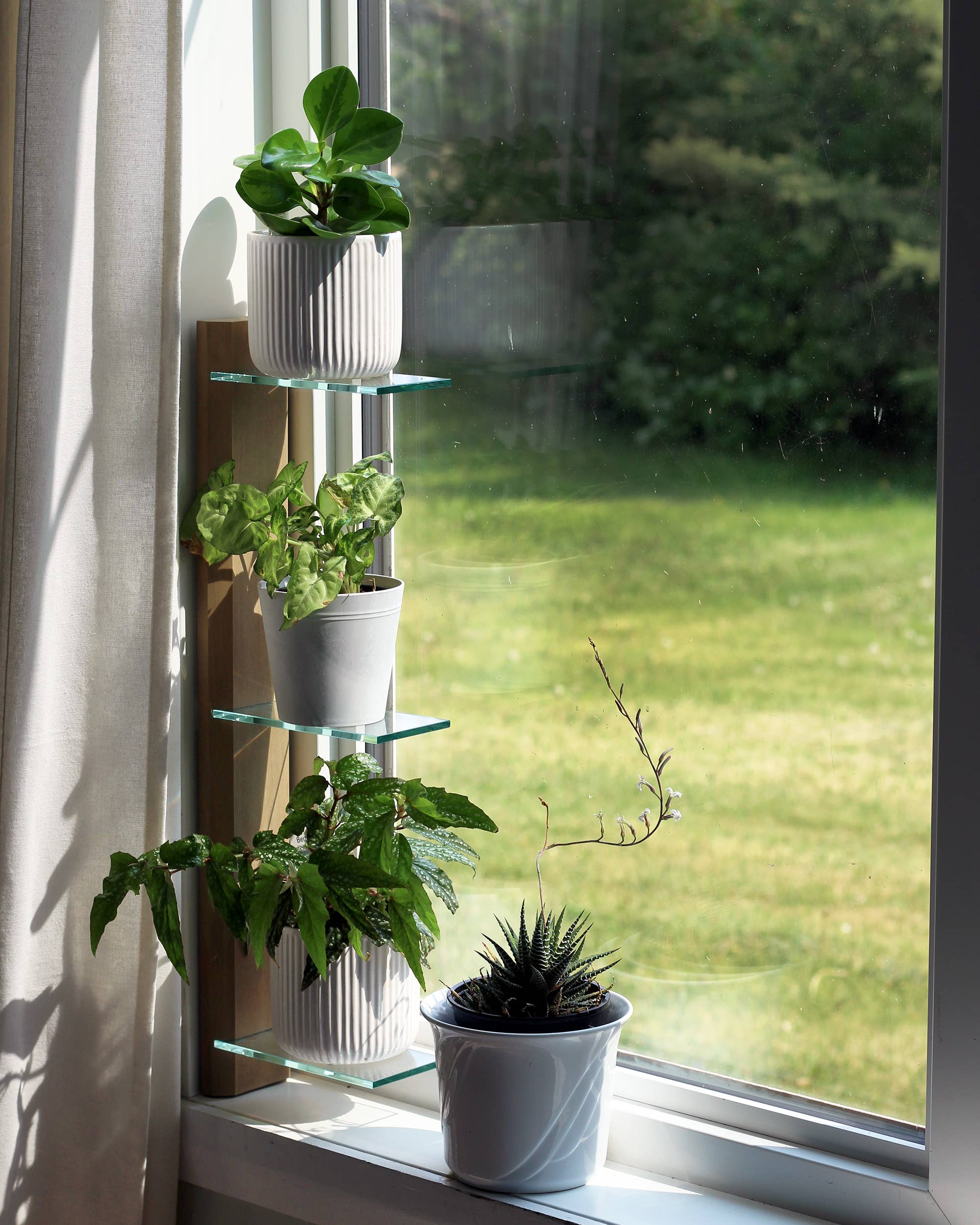 Daniel's Plants - Wholesale Wall Mounted Shelf - Renter-Friendly Window Shelf | Prairie Sand with Tempered Glass1