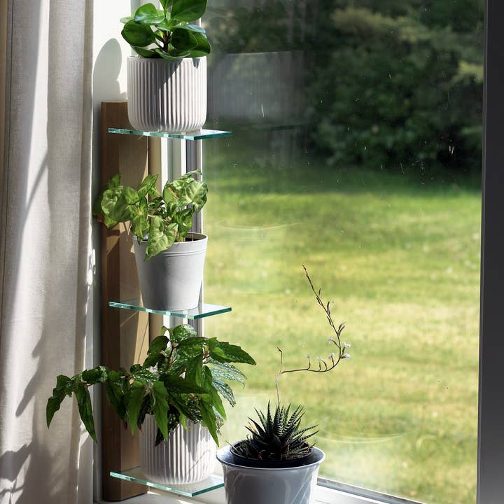 Daniel's Plants - Wholesale Wall Mounted Shelf - Renter-Friendly Window Shelf | Prairie Sand with Tempered Glass1