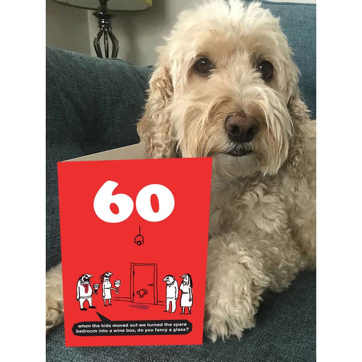 brainbox candy - Wholesale Birthday Card - Funny 60th Birthday Card Wine Box By Modern Toss