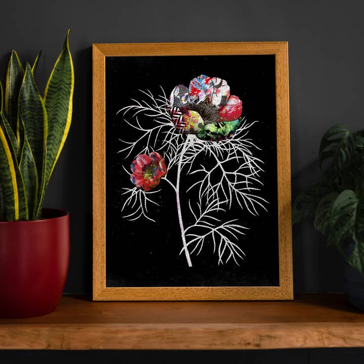 Ink & Drop - Vendita all'ingrosso Stampa artistica - Stampa botanica 6 rosa nera