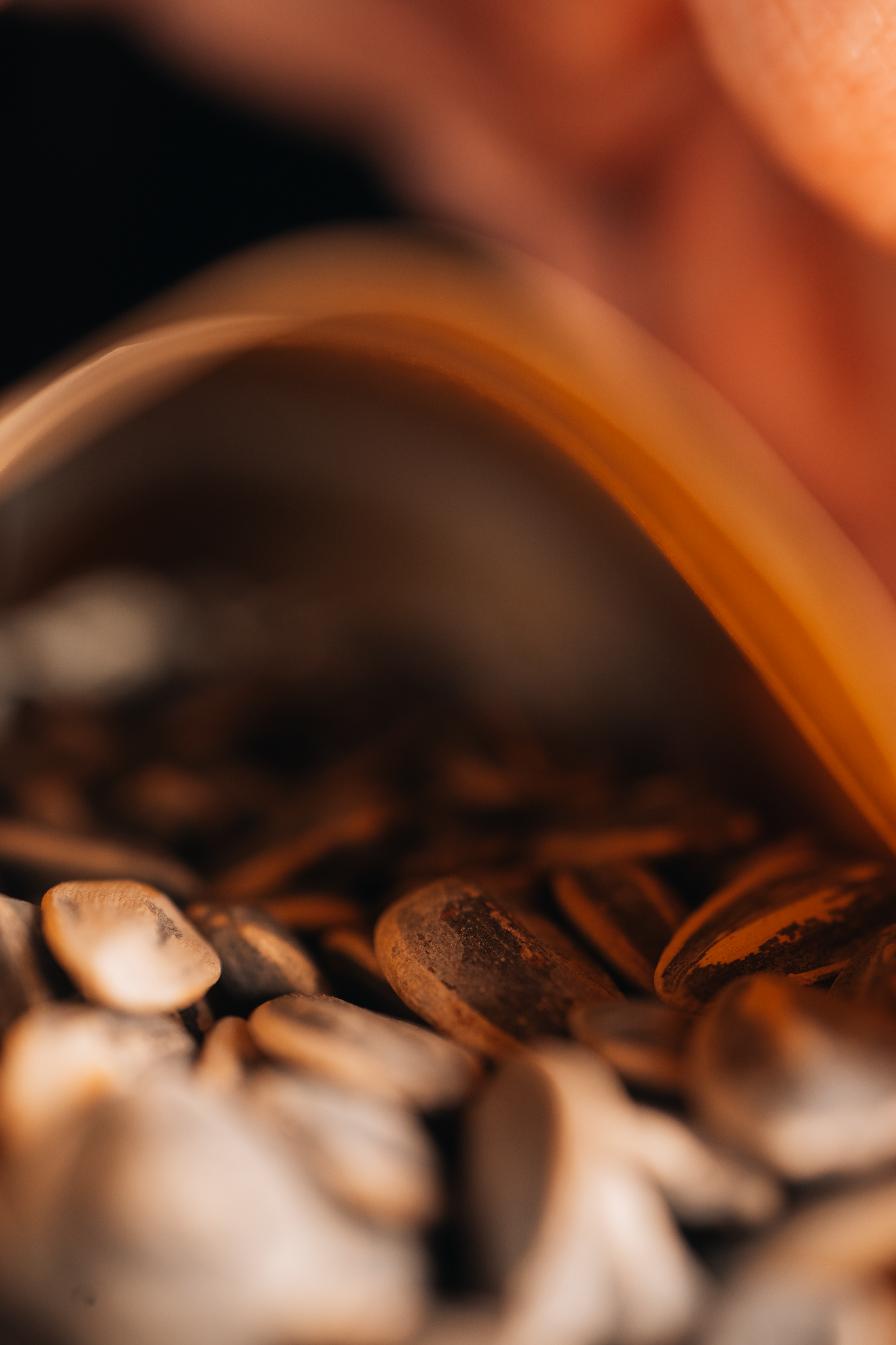 Licker Pickers Toothpicks - Wholesale Nuts - Premium Whiskey Sunflower Seeds4