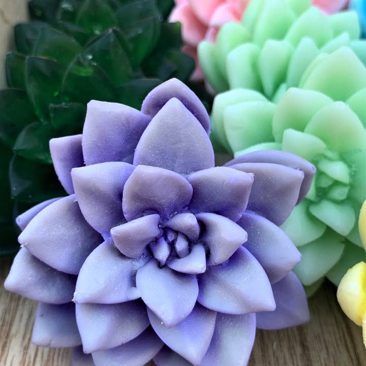 Savons succulents 3D : cadeaux de fête, savon au cactus, cadeau unique et autres tendances Résultats pour cactus en vente B2B. Retours gratuits et paiement à 60 jours sur Faire sur Faire.