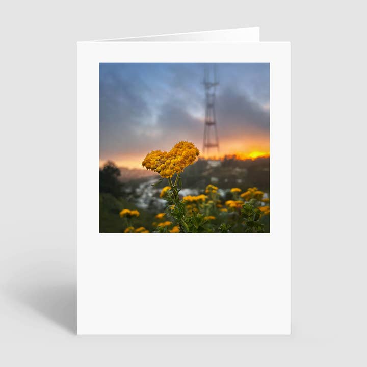 Greeting Card of Golden Yarrow in front of Sutro Tower for wholesale by HeartSFound