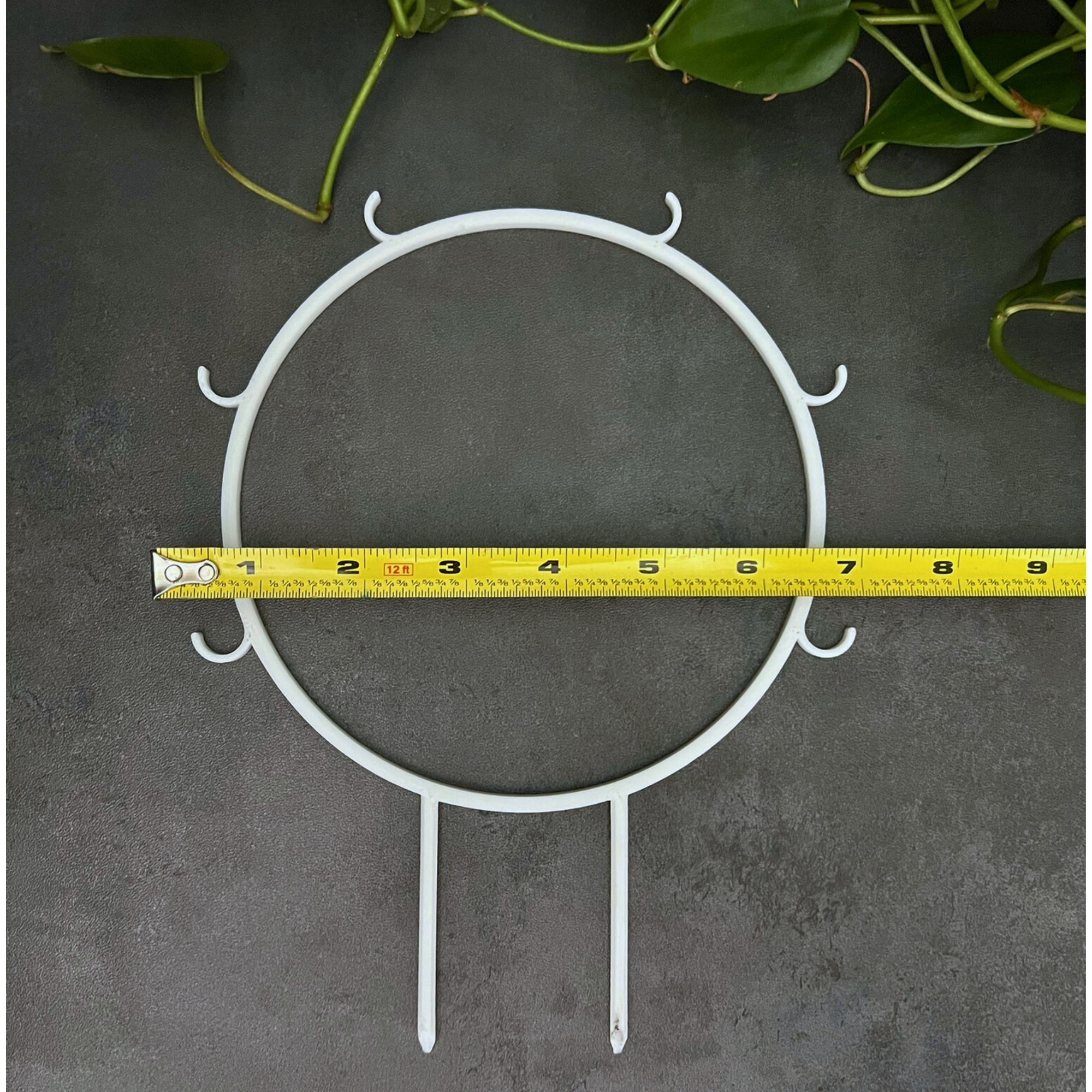 Floraform Creations - Wholesale Trellis - Houseplant Trellis for Climbing Plants, 6 In Hoop with Hooks4