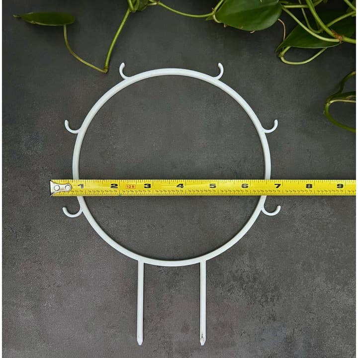 Floraform Creations - Wholesale Trellis - Houseplant Trellis for Climbing Plants, 6 In Hoop with Hooks4