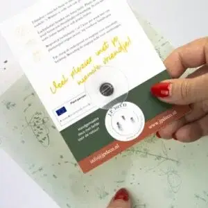 Juffrouw Pannenkoek deco /JP deco - Wholesale Live Plant - Plant Friends – set of 9 air plants with suction cup6