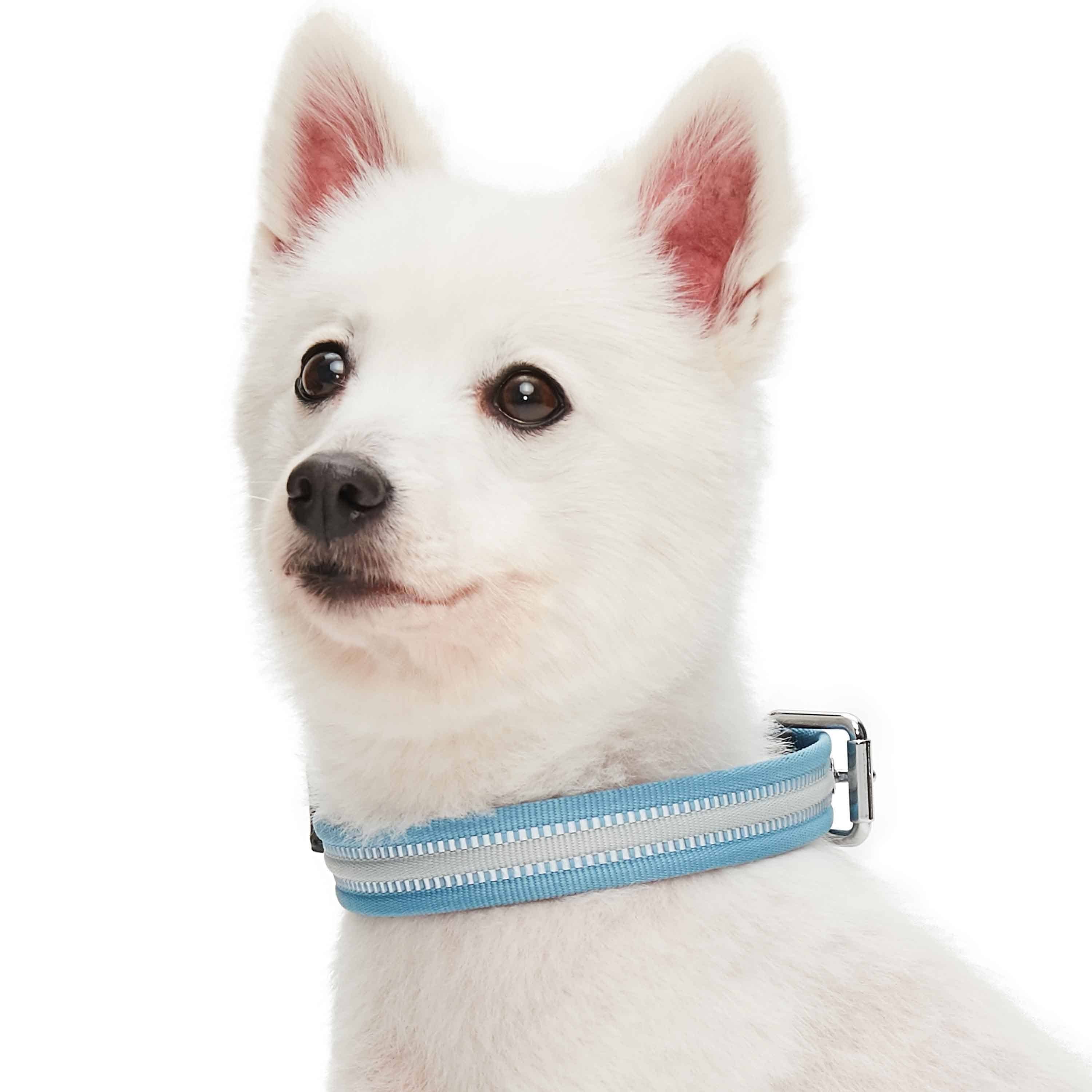 Blueberry Pet – wholesale Halsband - Hund – 3M Reflekterande Randig Hundhalsband – Hållbart & Stilfullt30