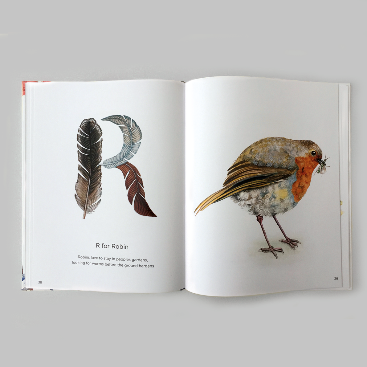 Charlotte Nicolin - Wholesale Reference Book - ABC with birds - Book 4