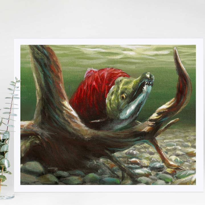 Sockeye Salmon Wall Art Print for wholesale by Whitworth Gallery