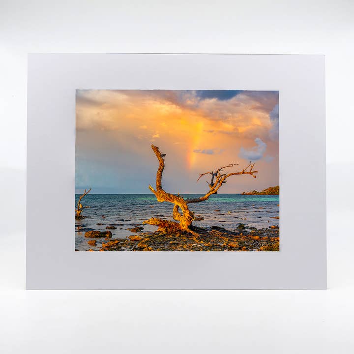 Artwork-Coureur Arc-en-ciel 2 pour la vente par Mike Ring Photography