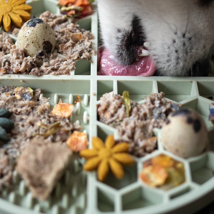 LIEVICK - Vente Tapis de gamelle – chien - Tapis à lécher - Lievick vert1