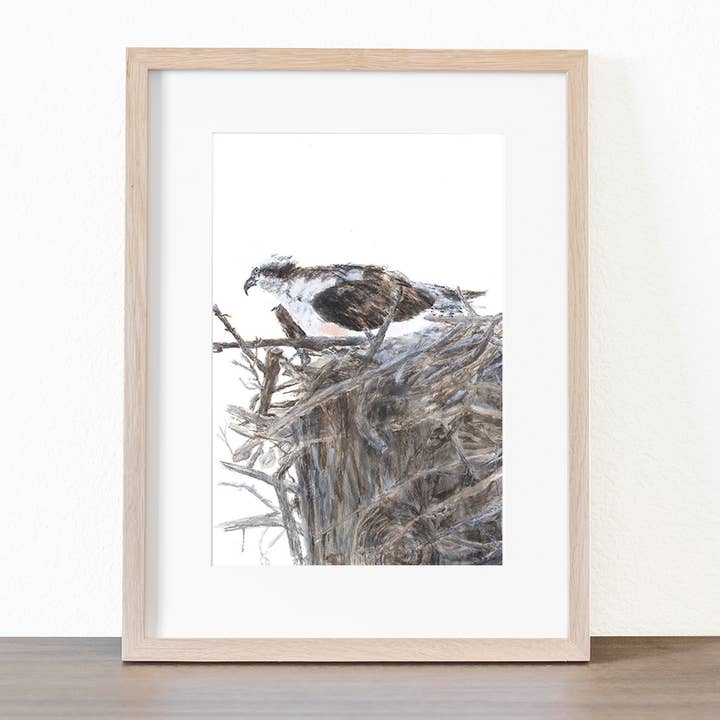 Osprey Giclee Print, Wall Decor, Bird Art, Watercolor for wholesale by Joy Neasley Studios