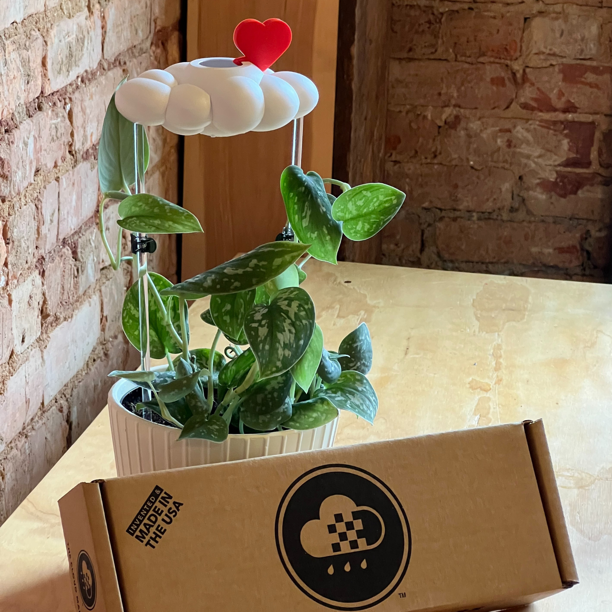 The Cloud Makers - Vendita all'ingrosso Annaffiatoi - Pacchetto Cloud Boutique originale con pacchetto di ciondoli7