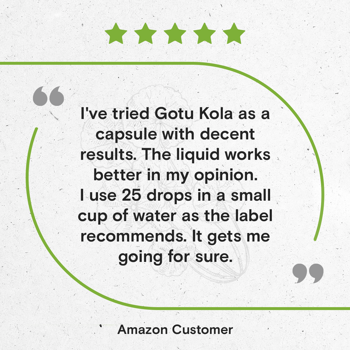 Secrets Of The Tribe - Wholesale Tincture - Gotu Kola Tincture10