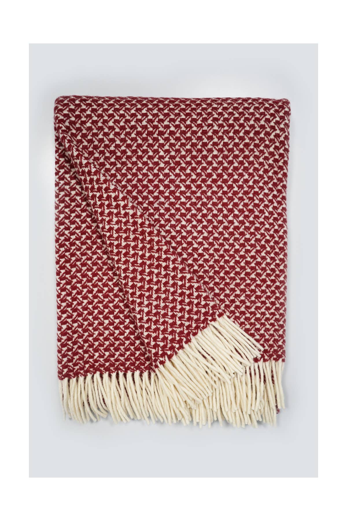 Chicoração - Vendita all'ingrosso Plaid - Coperta Rondine - più colori55