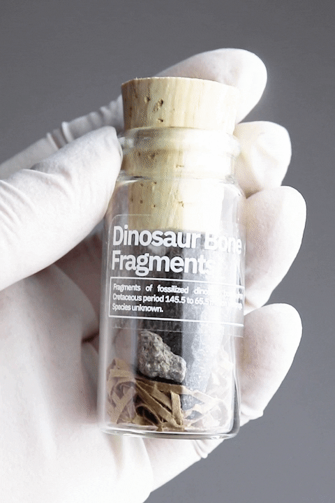 Stemcell Science Shop - Wholesale Decorative Tabletop Object - Wholesale Sample Box10