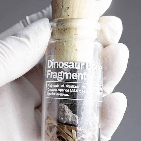 Stemcell Science Shop - Wholesale Decorative Tabletop Object - Wholesale Sample Box10