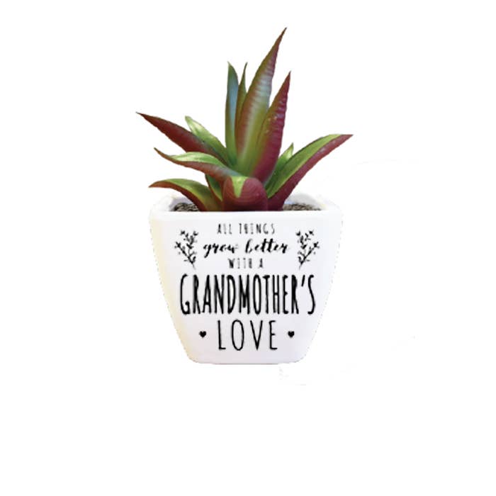 Sentiment Succulent - Grandmother for wholesale by The H&H Group