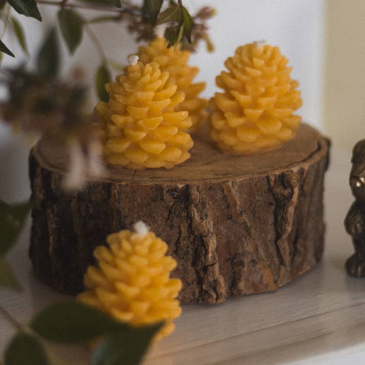 Small Pinecone Beeswax Candle and other Purchase Wholesale pinecone candle. Free Returns & Net 60 Terms on Faire trending on Faire.