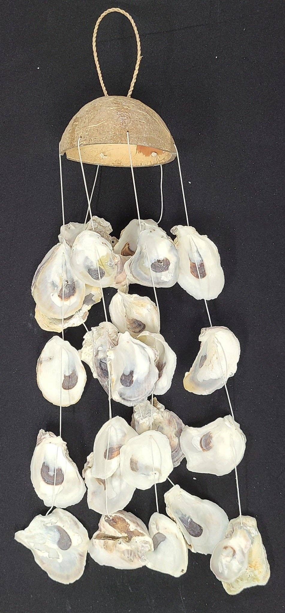 Darlene's Shells - Wholesale Mobile - COCO OYSTER DROP