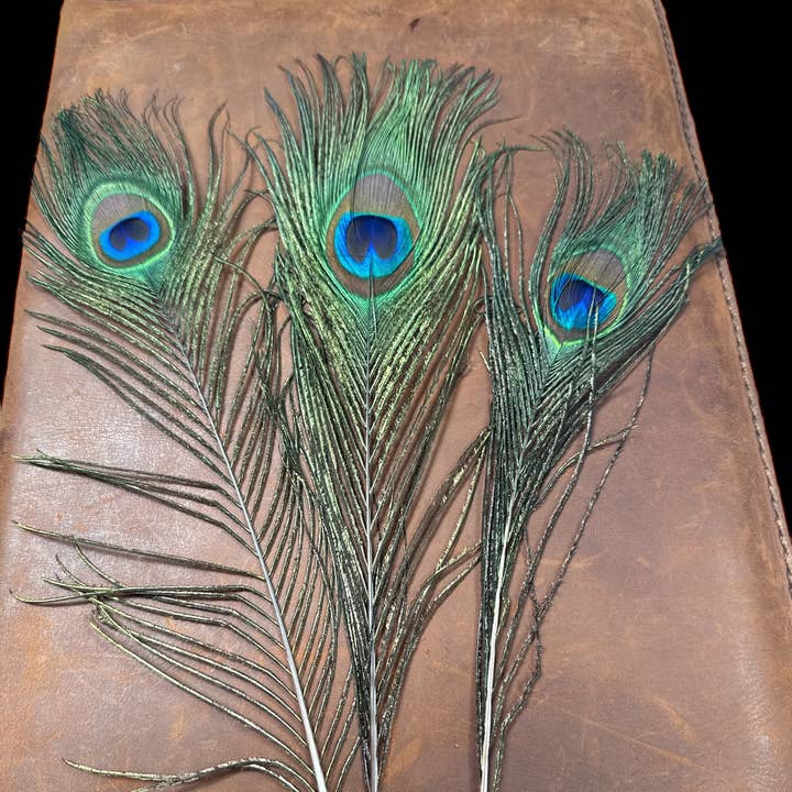 Nati Natash - Wholesale Feathers - Peacock Feathers2