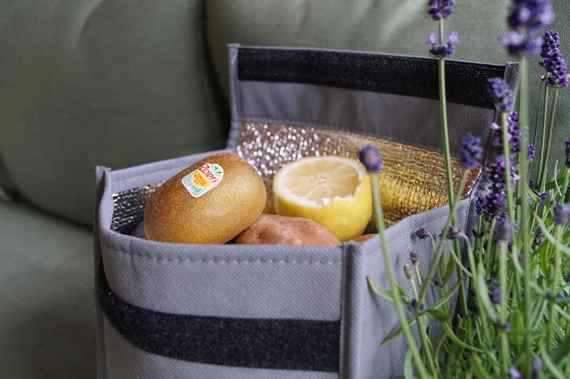 RETULP - Wholesale Cooler/Cooler Bag - Recyceld Fridgebag Cooler Bag Foldable Lunchbag6