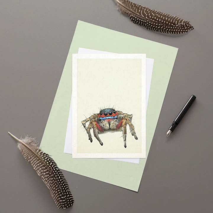 Hidden Planet – wholesale Everyday greeting card – Lessert's Rainbow Spider Greetings Card